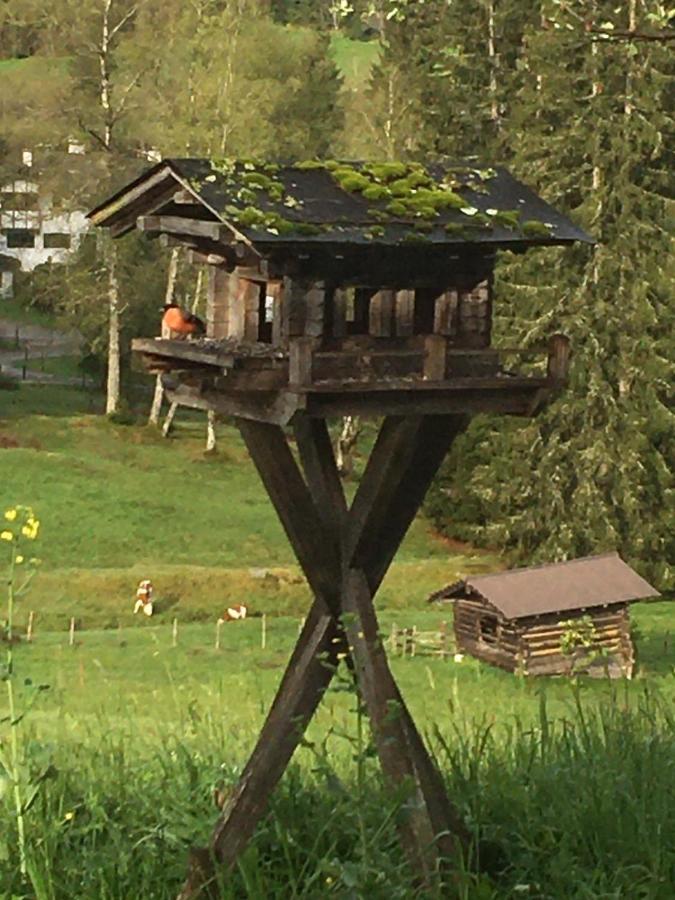 Villa Hof Hintererb à Kitzbühel Extérieur photo